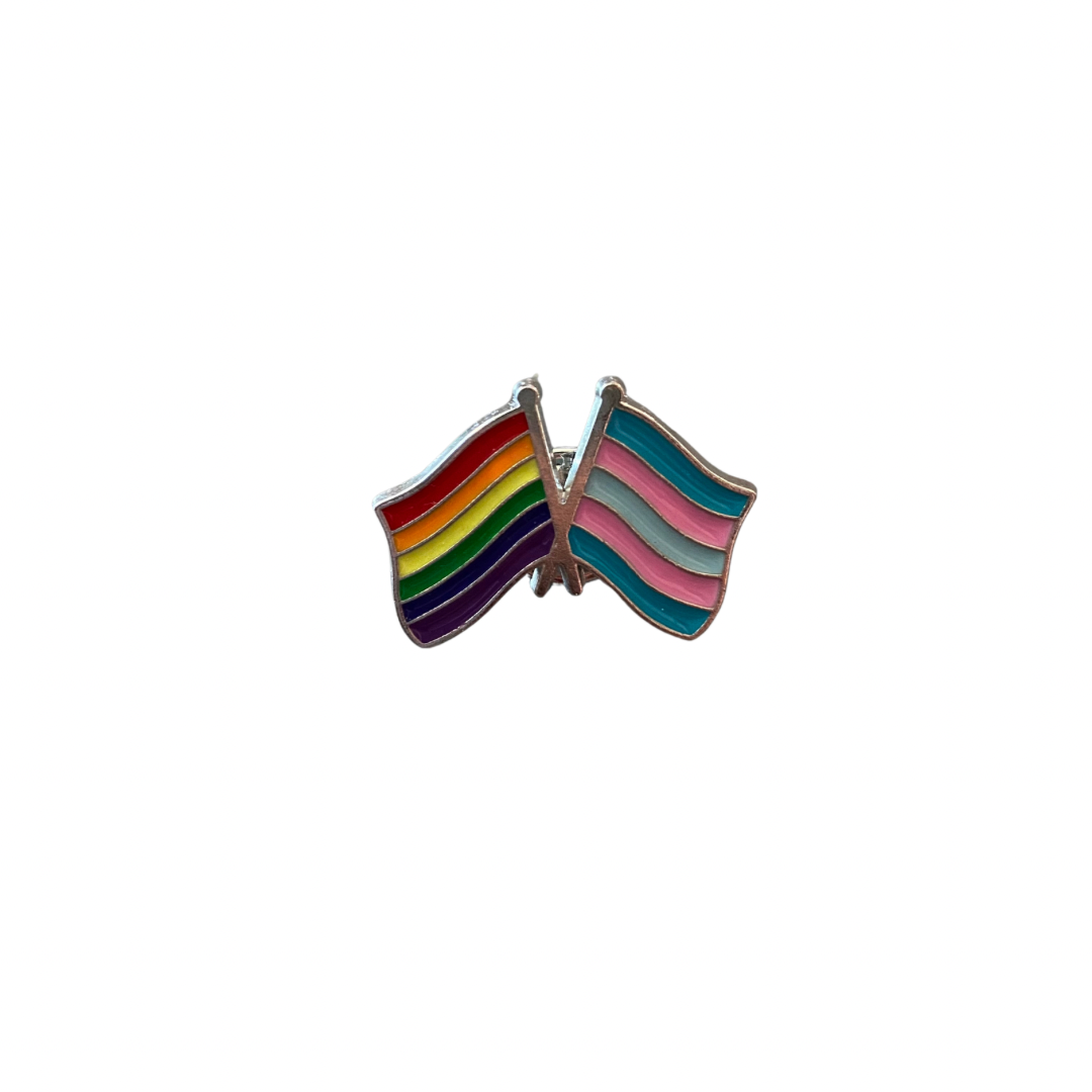 Rainbow and Trans Flag pin