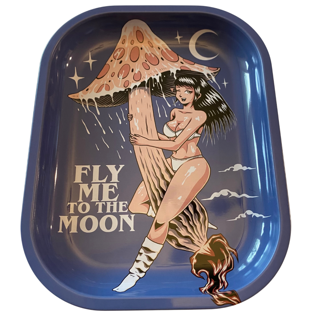 Fly Me To The Moon Tray