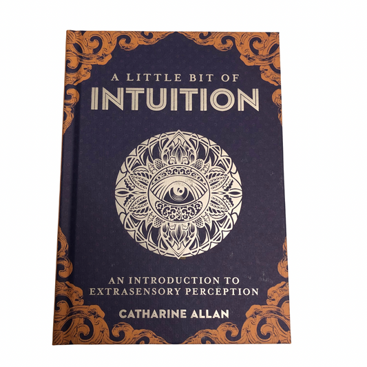 A Little Bit Of Intuition Book